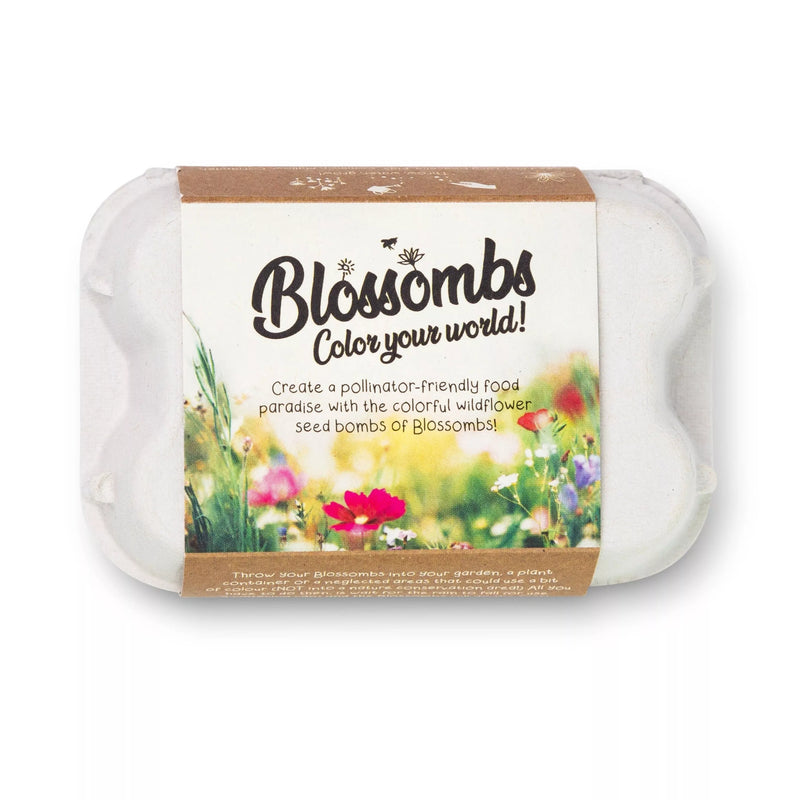 Semínkové bomby - Dárkový box na vajíčka (6ks) BLOSSOMBS